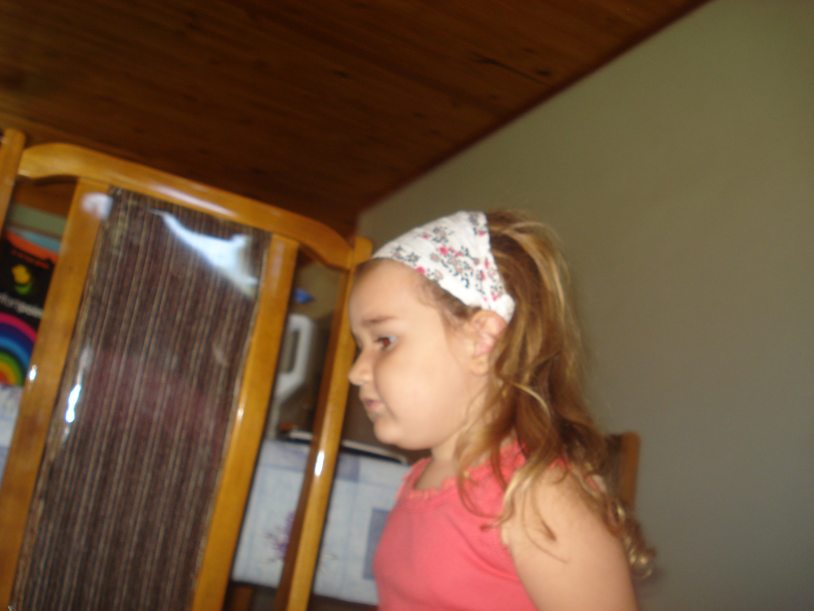 fotos/2012-12-24 - Navidad y pileta/DSC05114.JPG